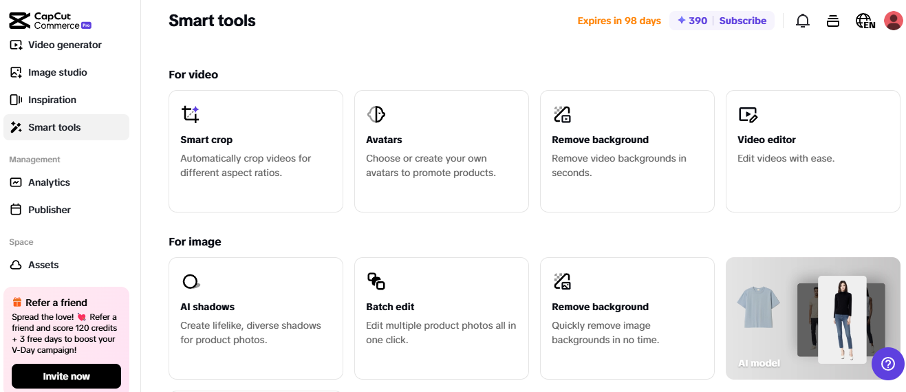 Pippit smart tools for online business automation, featuring AI-powered video and image editing solutions.